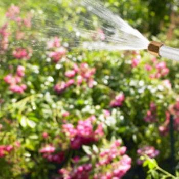 WaterJetWash flower-watering